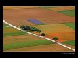 Johann Hölblinger - Felder D - Landesmeisterschaften für Fotografie