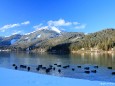 Erlaufsee im Winter - Foto: Josef Sommerer