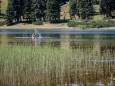 SACKWIESENSEE - bodenbauer-josersee-sackwiesensee-haeuslalm-bodenbauer-2096