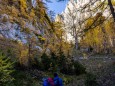 IN DER ROSSHÖLLE >kastenriegel-graualm-rundtour-ueber-rosshoelle-bschlagstatt_hohe-weichsel-hochschwabgebiet-27102021-0620