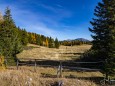 BLICK ZURÜCK VORM ABSTIEG >kastenriegel-graualm-rundtour-ueber-rosshoelle-bschlagstatt_hohe-weichsel-hochschwabgebiet-27102021-0784