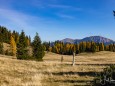 BLICK ZURÜCK VORM ABSTIEG (Großer Wildkamm und Hohe Veitsch) >kastenriegel-graualm-rundtour-ueber-rosshoelle-bschlagstatt_hohe-weichsel-hochschwabgebiet-27102021-0785