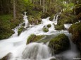 Kläfferquelle tritt an die Oberfläche - 9. Mai 2012