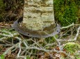klausgraben-02052019-c2a9-elisabeth-lammer_15