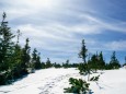 Bergtour zum Kleinen Göller (1673 m) vom Donaudörfl-Lahnsattel