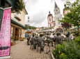 Sonntag:  Klostermarkt und Pilgern in Österreich: „Peregrinari“ 2015 in Mariazell - Stadtkapelle Mariazell