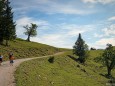 Dürriegelalm / Dürriegel-Königsalm-Königskogel Wandertour