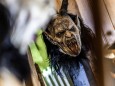 krampus_perchten-maskenausstellung-mariazell-2022-15