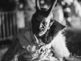 krampuslauf-halltal-2019-2327