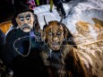 krampuslauf-der-troger-pass-in-gusswerk_0512023_foto-fred-lindmoser-8090