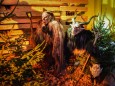 Lazarus Teifln - 2. Krampus- und Perchtenmaskenausstellung in Mariazell. Foto wurde zur Verfügung gestellt.