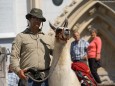 Lama Wanderung von Aflenz nach Mariazell