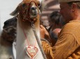 Lama Wanderung von Aflenz nach Mariazell