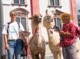 Lama Wanderung von Aflenz nach Mariazell