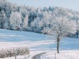 winterlandschaft-mariazellerland-11122020-0134