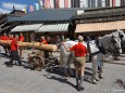 1. Mai 2012 - Maibaum aufstellen in Mariazell