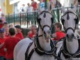 1. Mai 2012 - Maibaum aufstellen in Mariazell