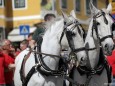 1. Mai 2012 - Maibaum aufstellen in Mariazell