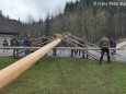 maibaumaufstellen-franzbauer-30042019-c-franz-peter-stadler-img_5224