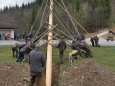 maibaumaufstellen-franzbauer-30042019-c-franz-peter-stadler-img_5245