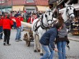 Maibaumaufstellen in Mariazell