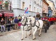 Das Schimmelgespann von Wolfgang Fisch zieht den Baum - Traditionelles Maibaumaufstellen in Mariazell am 1. Mai 2015