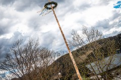 Maibaumaufstellen 2020