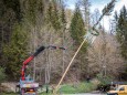 maibaum-halltal_2020-29383