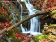 Herbstwasserfall - Foto: Maria Habertheuer