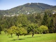 Mariazell Blick