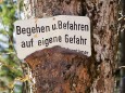 Mariazell im Herbst Ende Oktober/Anfang November 2011 - Dieser Baum steht am Weg zur Fotoposition