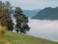 basilika-mariazell-nebelgrenze-stehralm-herbstzeit-42615