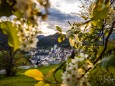 Blick auf die Basilika am 15. Mai 2021