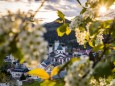 Blick auf die Basilika am 15. Mai 2021