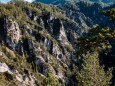 marienstein-naturpark-oetscher-tormaeuer-4353