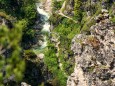 Marienstein - Tour mit Ausblick auf Ötscher, Gemeindealpe, Ötschergräben