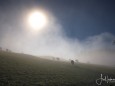 mariazell-stehralm-morgennebel-berge-mit-schnee-27sept2020-6826