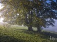 mariazell-stehralm-morgennebel-berge-mit-schnee-27sept2020-6840