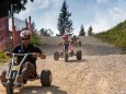 Mountaincart auf der Gemeindealpe in Mitterbach