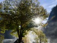 Herbststimmung in Weichselboden - © Nicole "Niki" Schmied