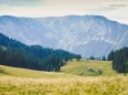 HERRENBODEN - Wandertour vom Niederalpl über Ochschenboden-Herrenboden-Mooshuben nach Mariazell