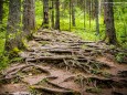 Wandertour vom Niederalpl über Ochschenboden-Herrenboden-Mooshuben nach Mariazell