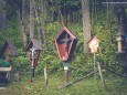 Wandertour vom Niederalpl über Ochschenboden-Herrenboden-Mooshuben nach Mariazell