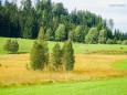 Wandertour vom Niederalpl über Ochschenboden-Herrenboden-Mooshuben nach Mariazell