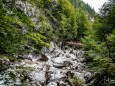 nothklamm_gams-bei-hieflau_geopfad-3203