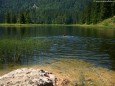 IM OBERSEE KANN MAN AUCH BADEN - Lunzersee – Mittersee – Obersee – Herrenalm – Wandertour Fotos