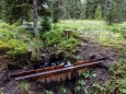 Errichtung von Holzdämmen zur Stabilisierung des Wasserhaushalts ÖBf/F. Lindmoser