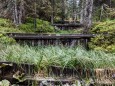 Errichtung von Holzdämmen zur Stabilisierung des Wasserhaushalts ÖBf/F. Lindmoser