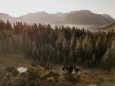 Blick über das Naßköhrmoor im Mürzer Oberland (Steiermark) ÖBf/N. Seiser