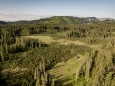 Blick über das Naßköhrmoor im Mürzer Oberland (Steiermark)  ÖBf/N. Seiser